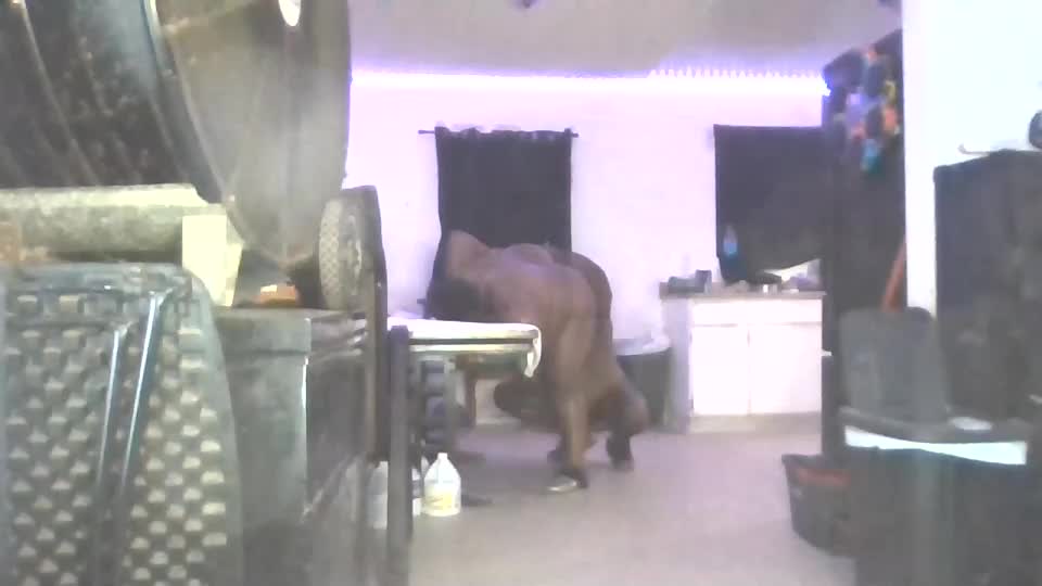 hisforever Webcam Chat September 14, 2026