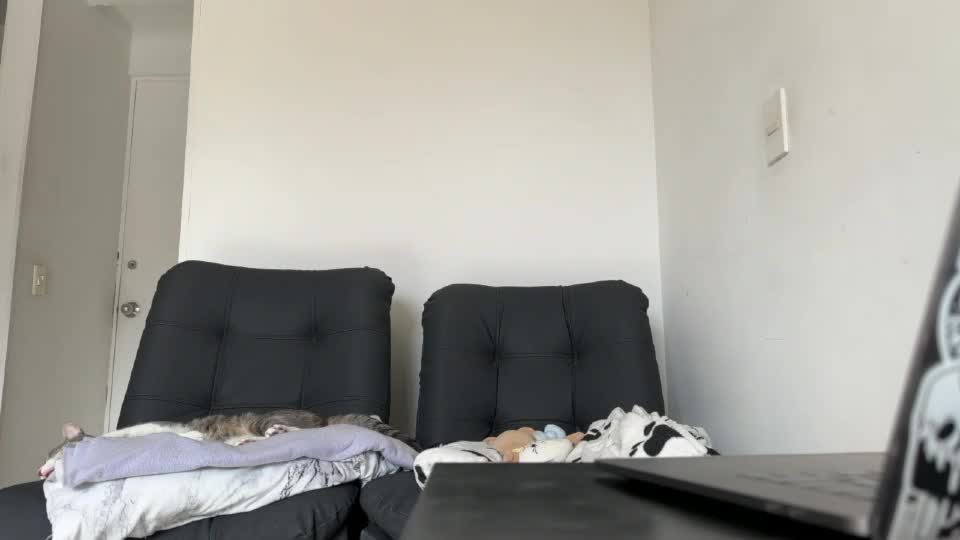 arteemiis Webcam Chat September 18, 2026