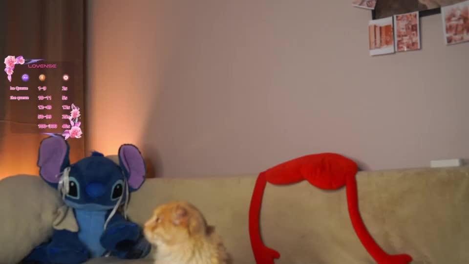 butteflai Webcam Chat September 18, 2026