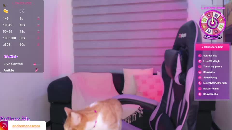 dreinafoxx Webcam Chat September 19, 2026