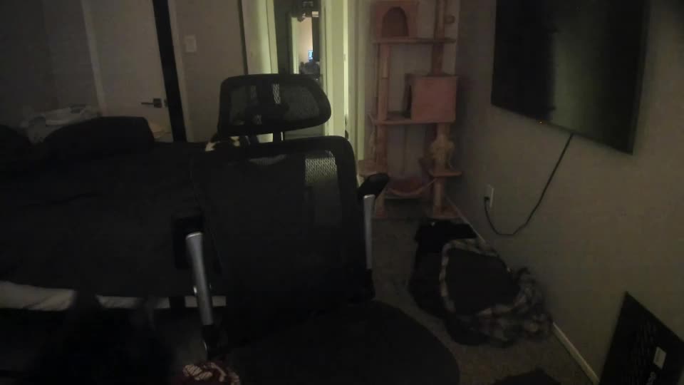 c00ki3m0nstr Webcam Chat September 20, 2026
