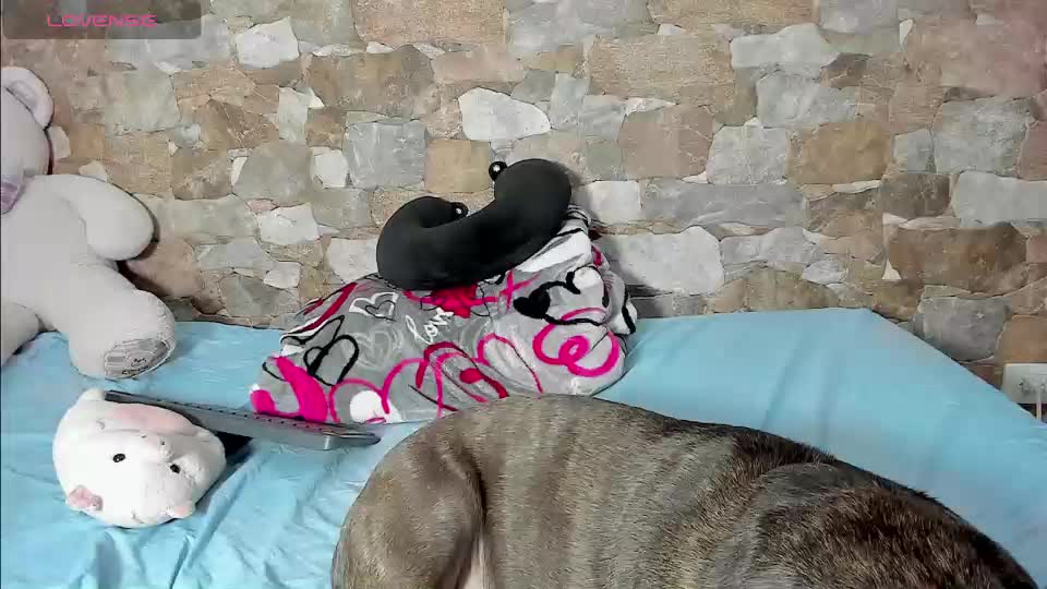 jilary__clinton Webcam Chat September 21, 2026
