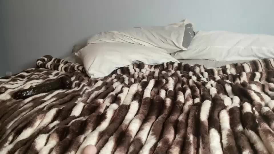 weteaseu69 Webcam Chat September 22, 2026