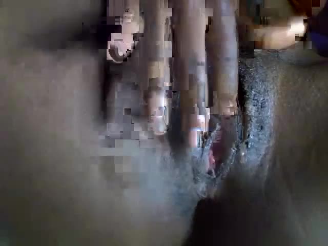 cute_melaninn Webcam Chat September 24, 2026