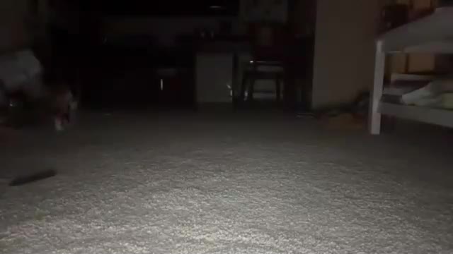 bendy__babe Webcam Star October 11, 2026