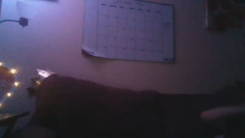 BossyBae26 Webcam Chat October 13, 2026