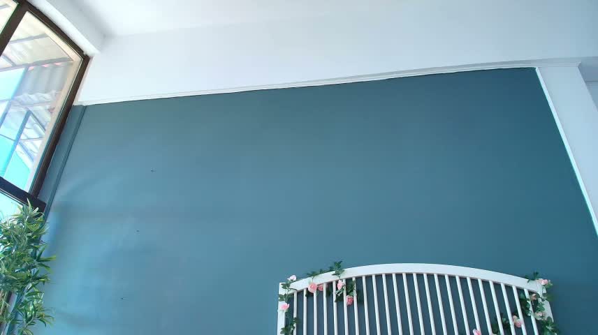 AlicePirs Webcam Chat October 14, 2026