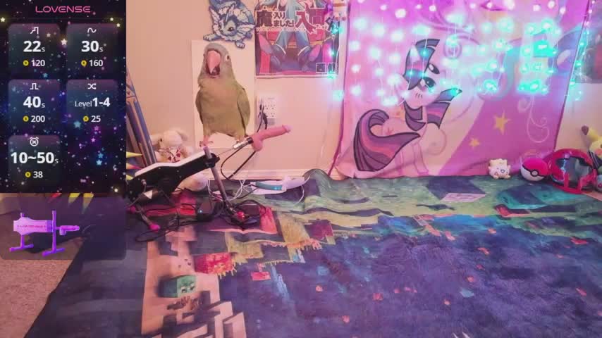BabyZelda Webcam Chat October 14, 2026