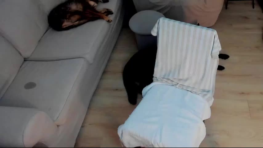 Squirt_Kimm Webcam Chat October 14, 2026