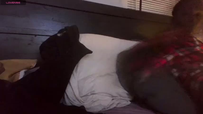 blaquebeauty Webcam Chat October 15, 2026