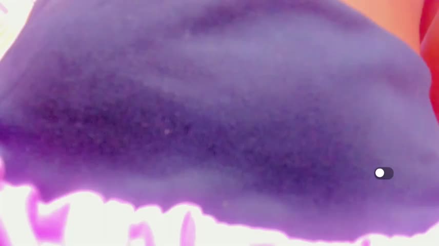 sami_milk Webcam Chat October 16, 2026