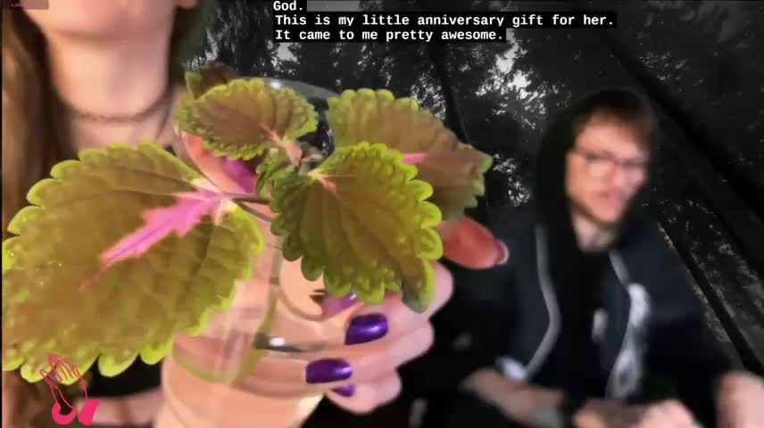 webzandkordz Webcam Chat October 16, 2026