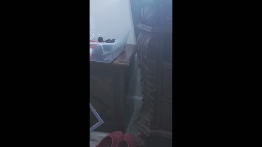 Triggerhappycj100 Webcam Chat October 18, 2026