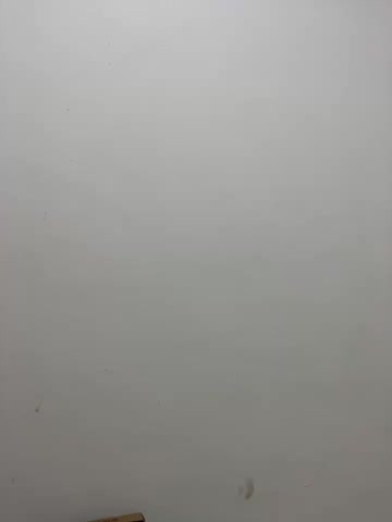 SunnyMist000 Webcam Chat October 18, 2026