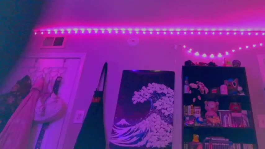 nintendhoe Webcam Chat October 18, 2026
