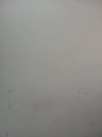 wiyimari2 Webcam Chat October 19, 2026