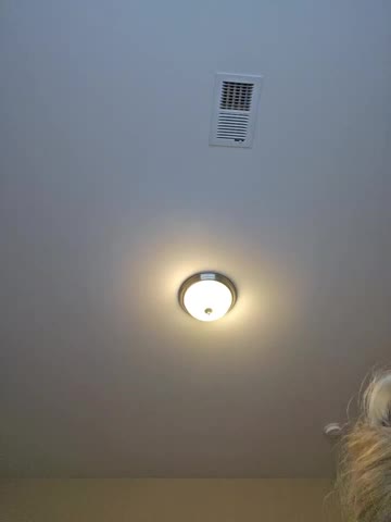 AmethystFoxx Webcam Chat October 19, 2026