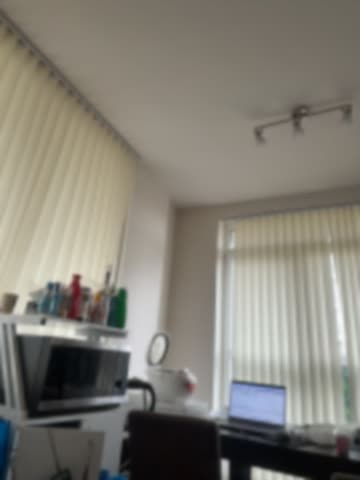 kotkite Webcam Chat October 19, 2026