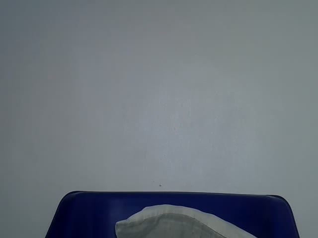 Domina_Empress Webcam Star October 20, 2026