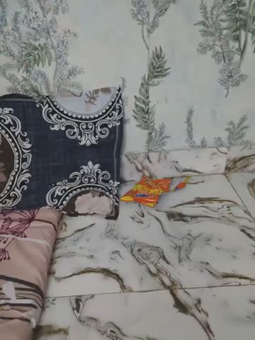 Sakina-Ali Webcam Chat October 20, 2026