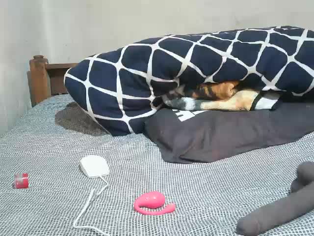 Luna-Blush12 Webcam Chat October 22, 2026