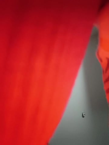 Letslivewildimagination Webcam Chat October 22, 2026