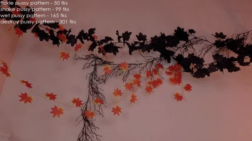 im_casey Webcam Chat October 23, 2026