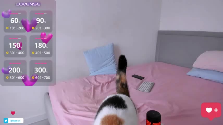 May_XX Webcam Chat October 23, 2026