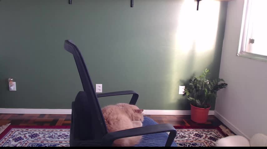 callmedemme Webcam Chat October 23, 2026