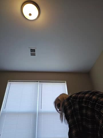 AmethystFoxx Webcam Chat October 24, 2026