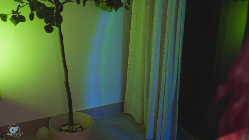 anabelcurvy Webcam Chat October 24, 2026