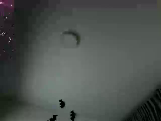 Velvet_Roseee Webcam Chat October 25, 2026
