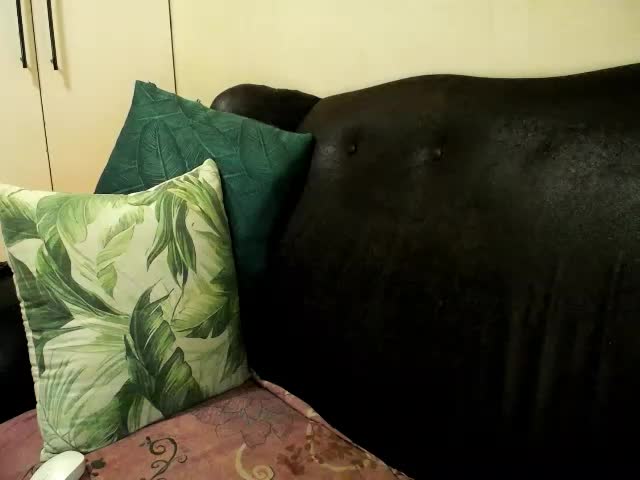 bustylaura4u Webcam Star October 26, 2026