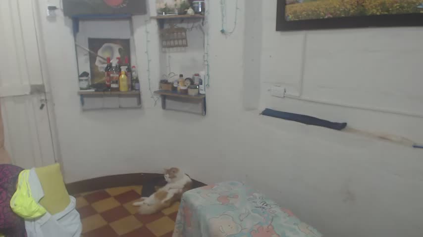 FunnyGrandma Webcam Chat October 28, 2026